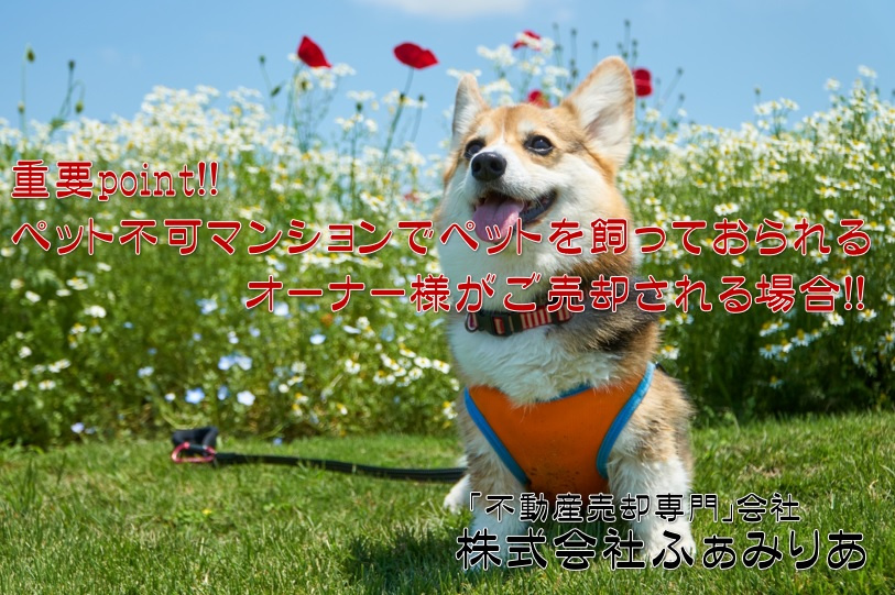 実務編㉛　ペット不可マンションでペットを飼っているオーナー様がマンションを売却する場合のpoint！！の画像