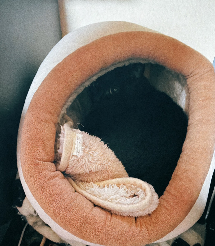 エアコンが苦手。。。の画像