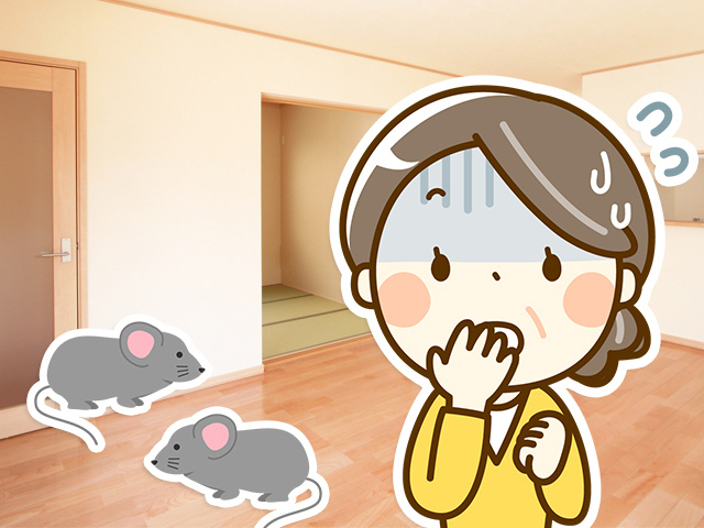 賃貸物件のネズミ駆除はだれ負担？駆除方法や引っ越し費用請求も解説！