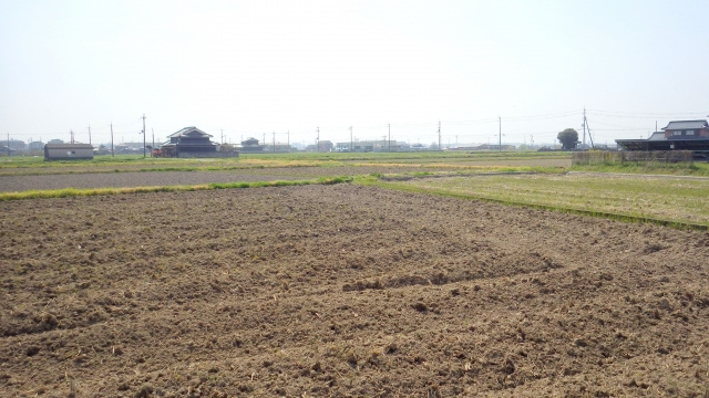 【農地の売却が難しい理由は？売却方法や費用をご紹介】の画像