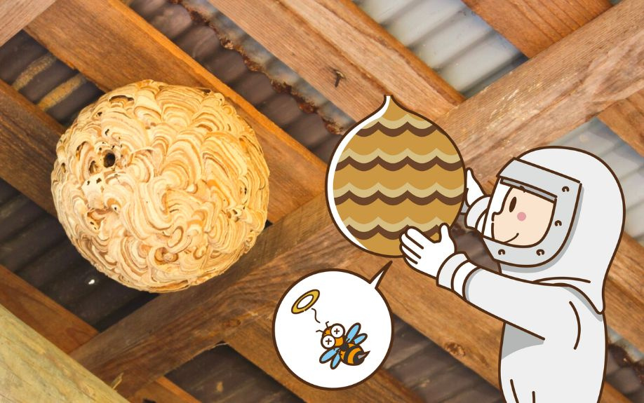賃貸物件にできた蜂の巣の駆除は誰がする？費用や予防策についても解説 の画像