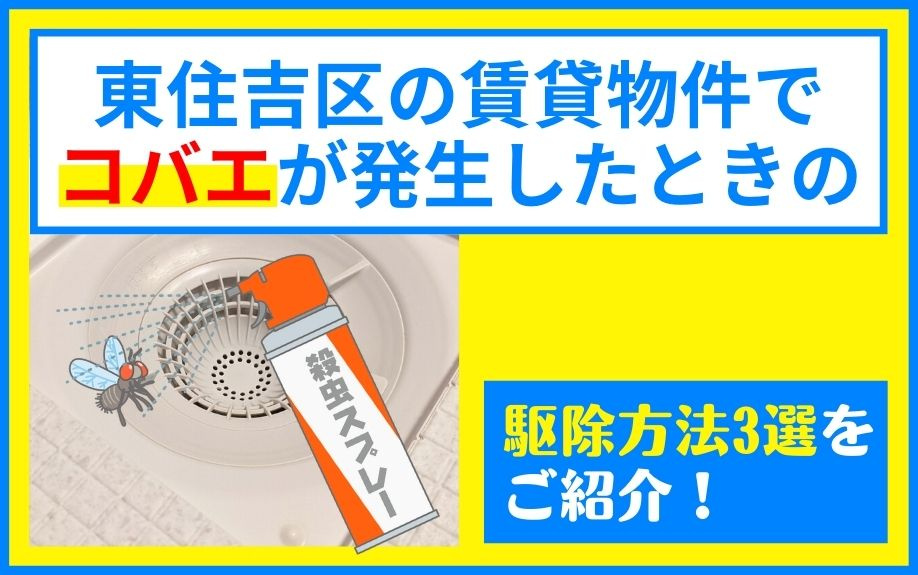 東住吉区の賃貸物件でコバエが発生したときの駆除方法3選をご紹介！