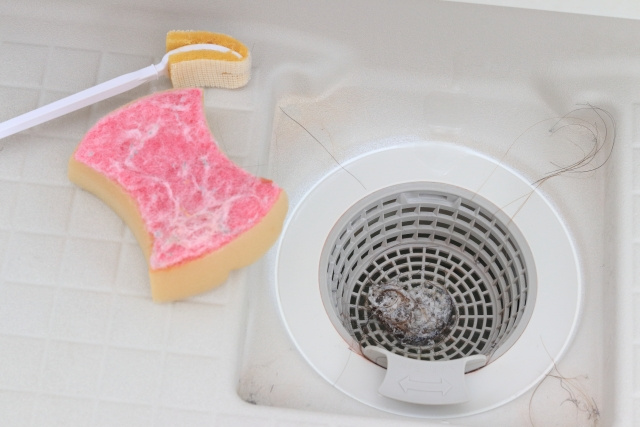 賃貸物件の部屋にコバエを発生させないための予防策