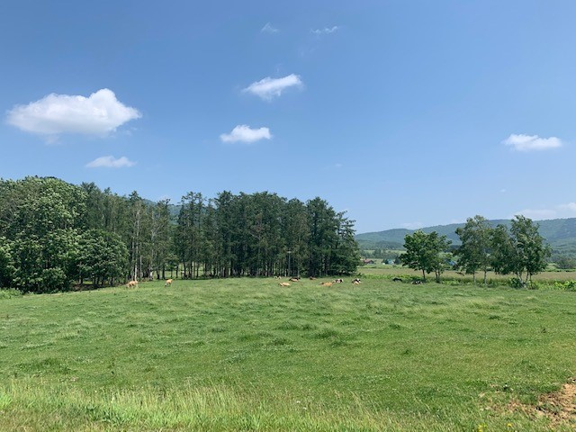北海道の画像
