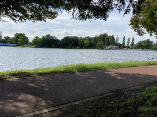 三郷公園で遊んできました！の画像
