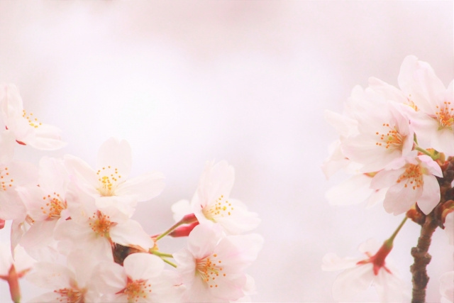 近畿大学インタビュー