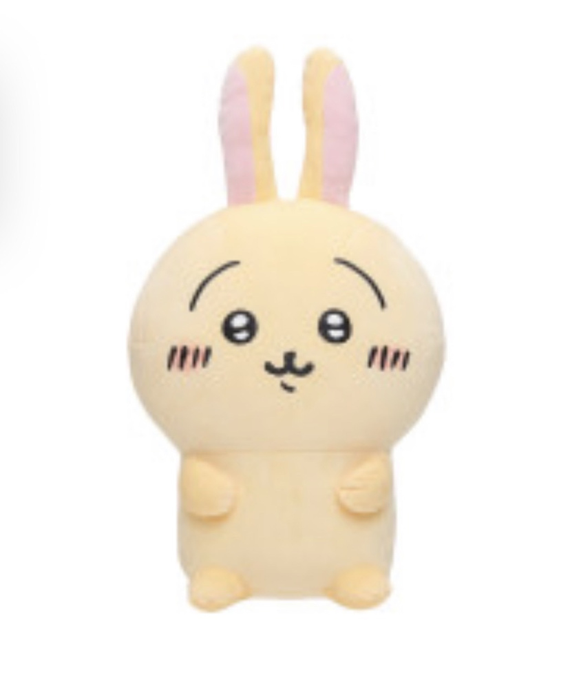 暑すぎます。。の画像