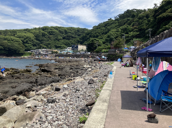 真鶴の画像