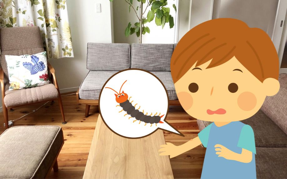 ムカデとはどんな生き物なの？アパートでの対策や駆除方法についてご紹介の画像