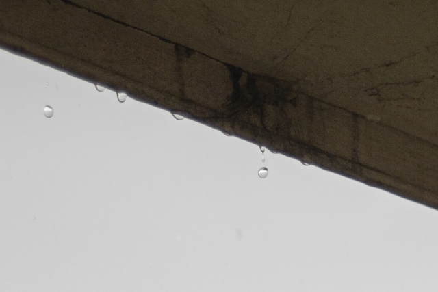 雨漏りした家でも売却できる？スムーズに売却する方法を解説！の画像