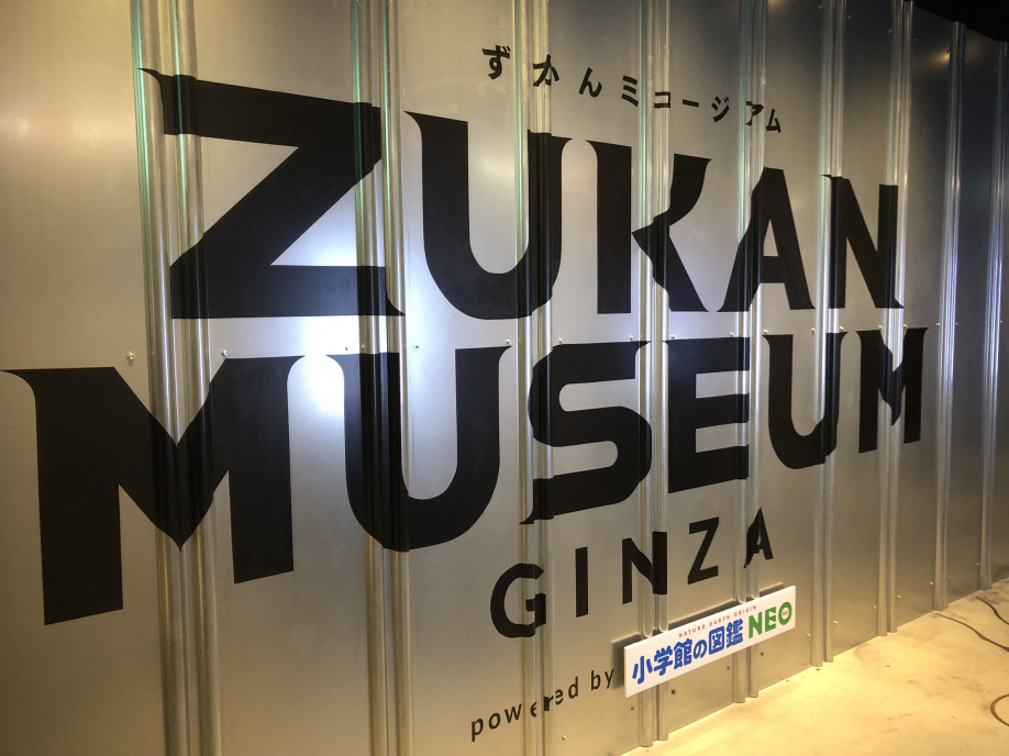 図鑑ミュージアムの画像