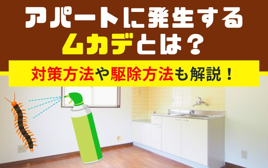 アパートに発生するムカデとは？対策方法や駆除方法も解説！