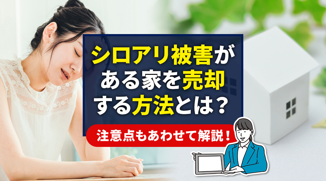 シロアリ被害がある家を売却する方法とは？注意点もあわせて解説！の画像