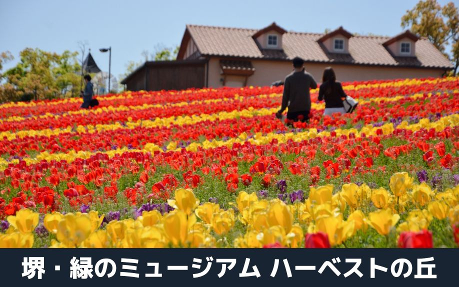 大阪府堺市南区のおすすめ観光スポット②：堺・緑のミュージアム ハーベストの丘