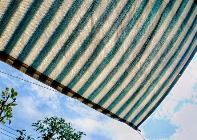 一戸建て購入時に検討したい設備！オーニングのメリットをご紹介！