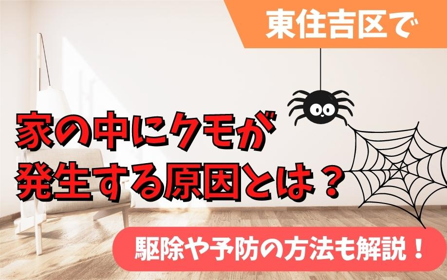 東住吉区で家の中にクモが発生する原因とは？駆除や予防の方法も解説！