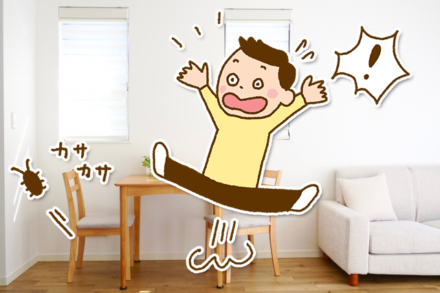 階層が高ければ害虫が発生しにくいのは本当？