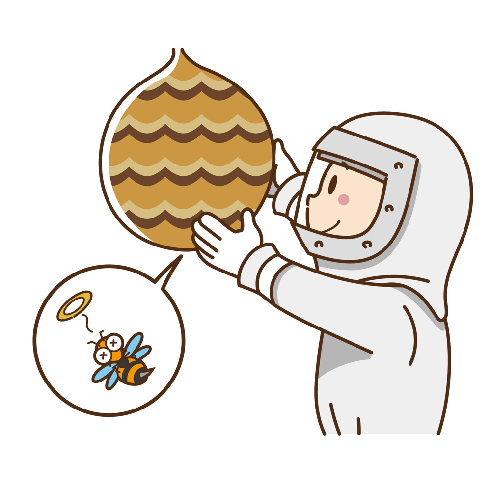 賃貸物件にできた蜂の巣は誰が駆除する？駆除責任や費用負担についてご紹介の画像