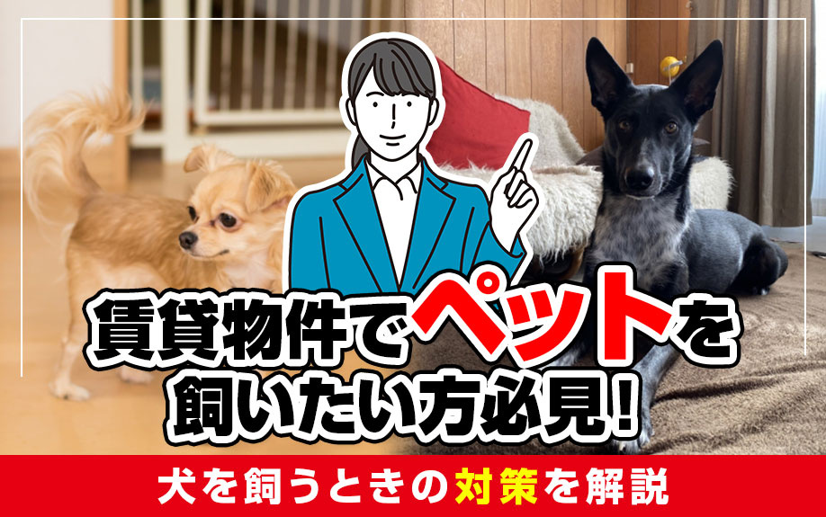 賃貸物件でペットを飼いたい方必見！犬を飼うときの対策を解説の画像
