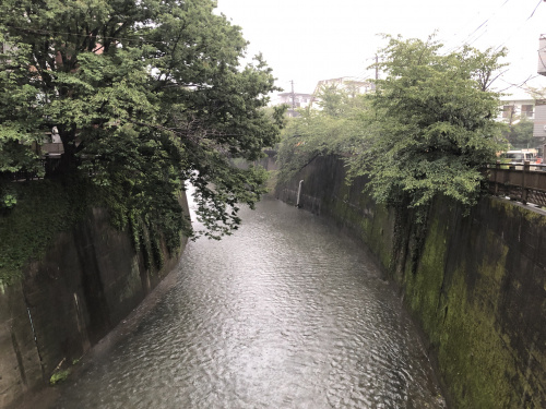 台風８号　石神井川「板橋」付近