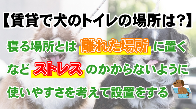 【賃貸物件で犬のトイレどこに設置する？】選び方・ポイント・注意点についての画像