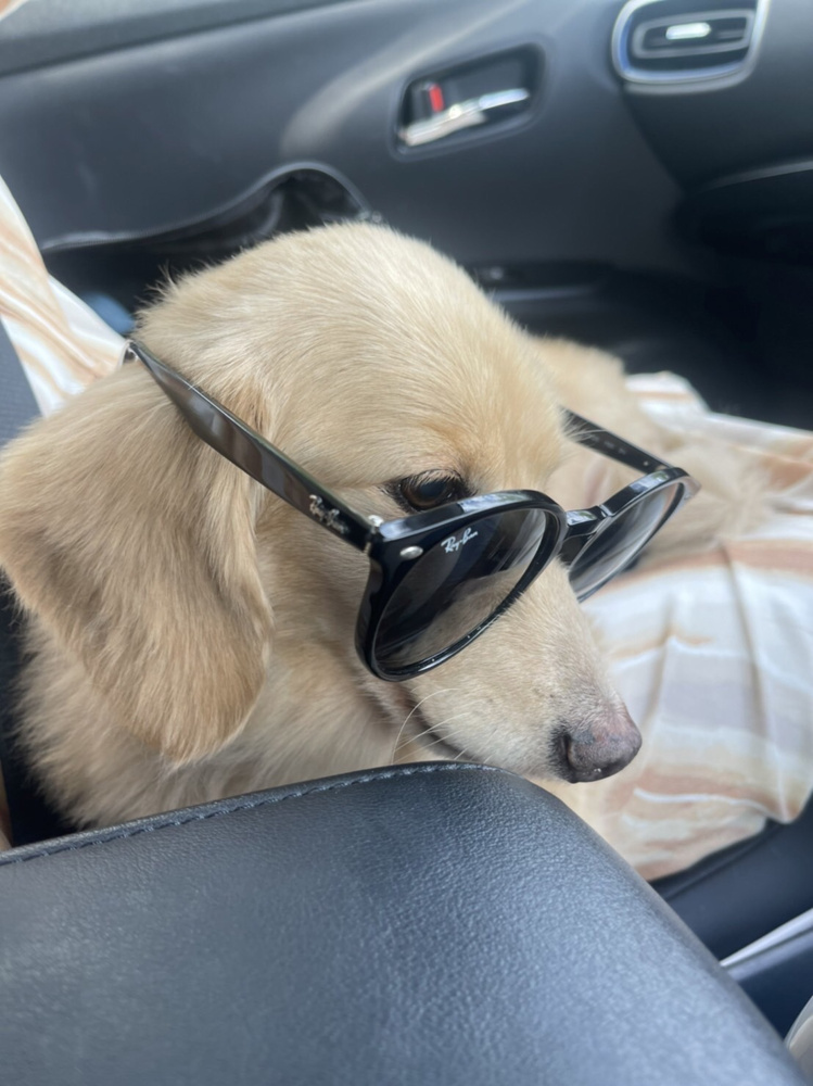 お盆休み～帰省しました！の画像