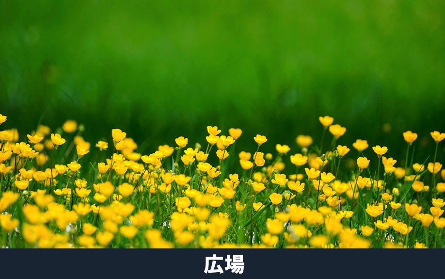 堺市南区にある原山公園の広場とは？