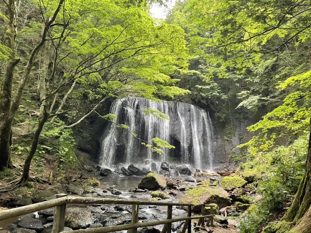 避暑地を求めて・・・の画像
