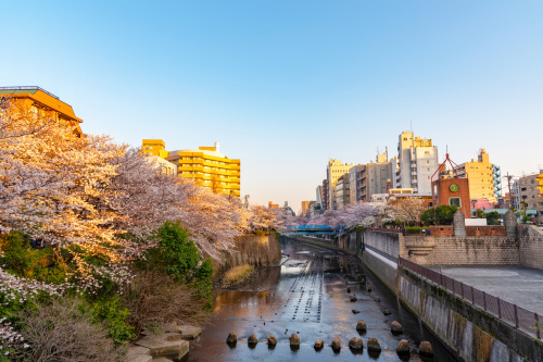 KW 東京サウス｜5月会社説明会・面談日程の画像