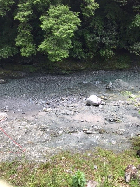 川遊びと恐怖の橋！の画像