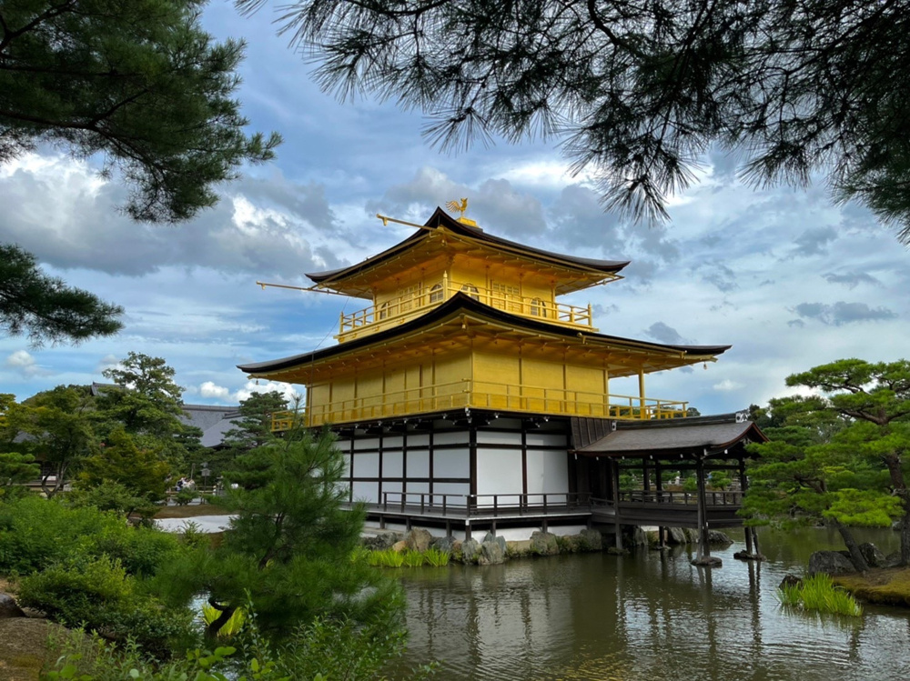 夏休みの画像