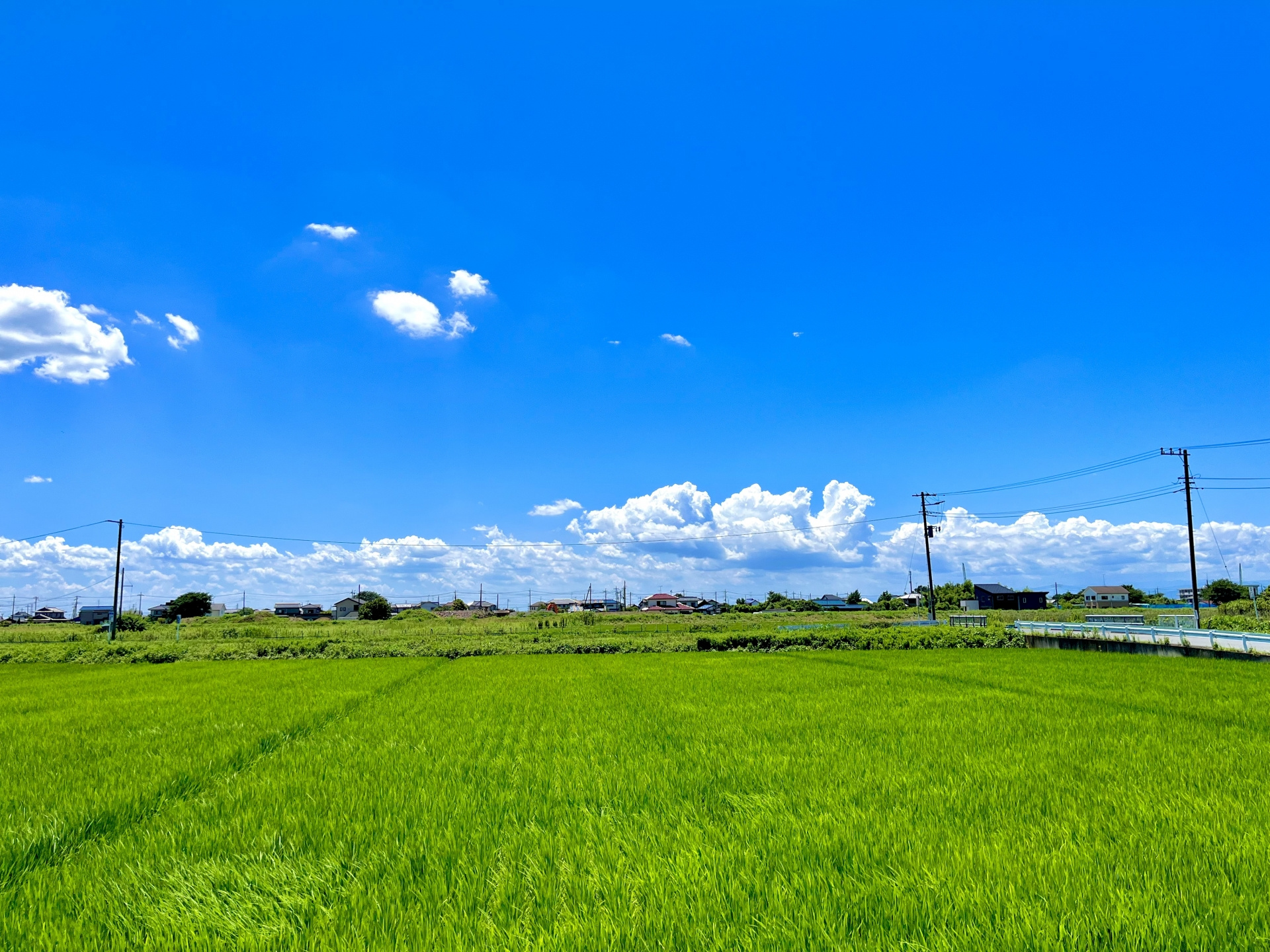 【2026年RN】市街化調整区域とは？の画像
