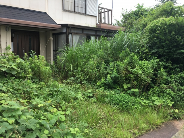 空き家の雑草対策における自己対応と業者依頼についてご紹介の画像
