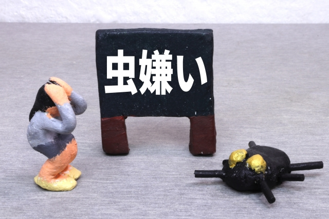 家の中にクモが発生する原因や駆除方法について解説