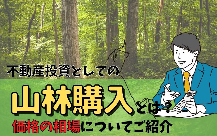 不動産投資としての山林購入とは？価格の相場についてご紹介の画像