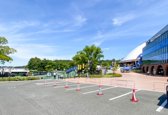 ベルーナドームに招待されました♪の画像