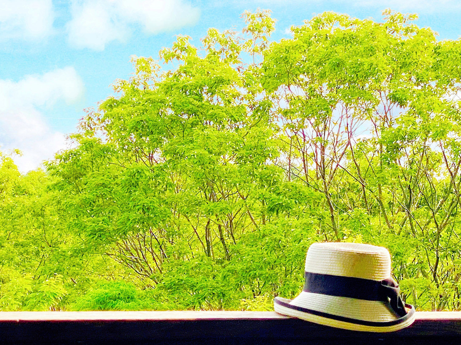 ３つのお仕事 募集します！の画像