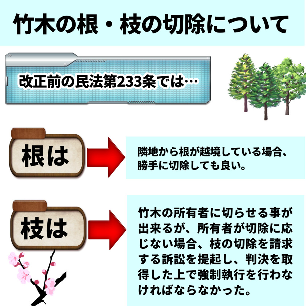 越境してきた隣地の竹木の根や枝の切除に関する民法改正についての画像