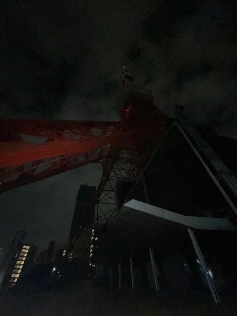 明るい方がきっといいの画像