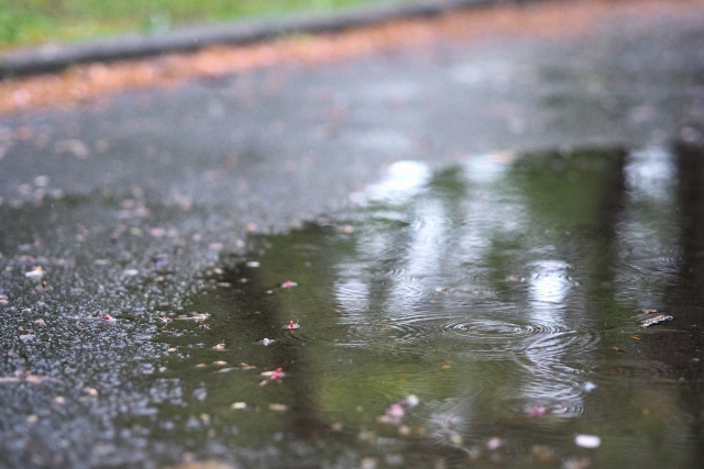 一戸建て購入した家で庭に水が溜まる？原因と対策方法とは？