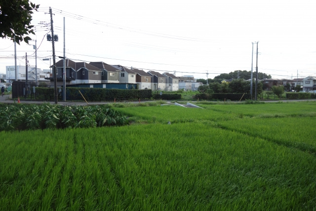 農地が売却しづらい理由とは？農地売却の方法や売却にかかる費用とともに解説の画像