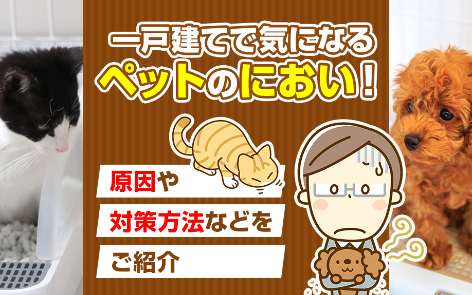 一戸建てで気になるペットのにおい！原因や対策方法などをご紹介