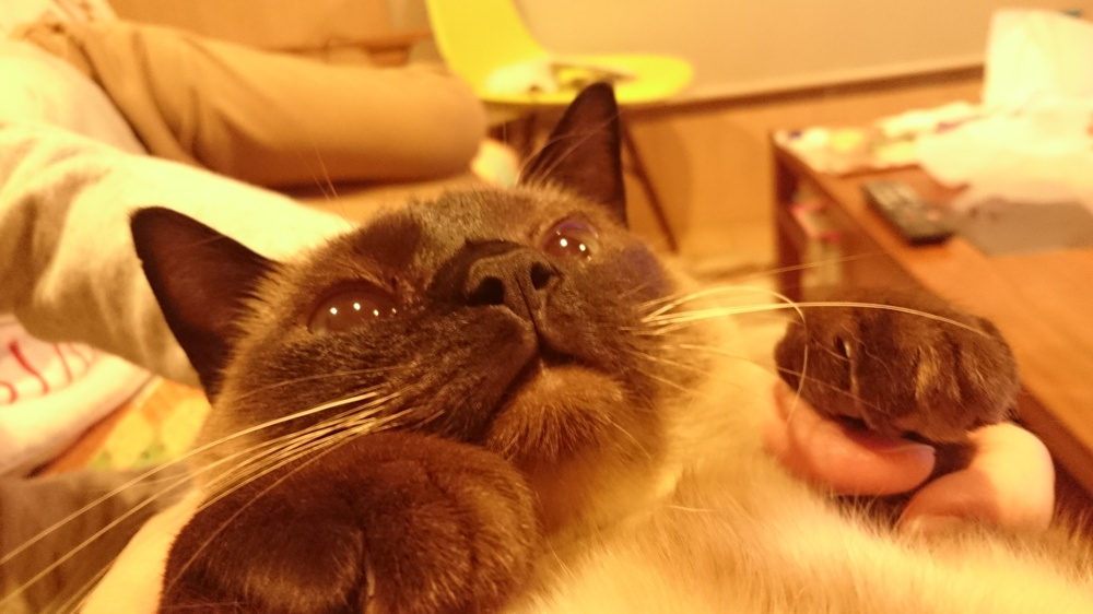一回受け止める力。の画像