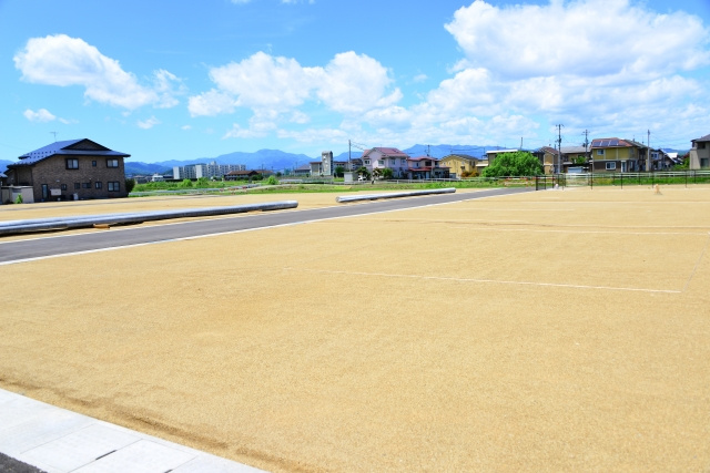不動産売却前にしばしばおこなわれる分筆とは？メリットや方法なども解説！の画像