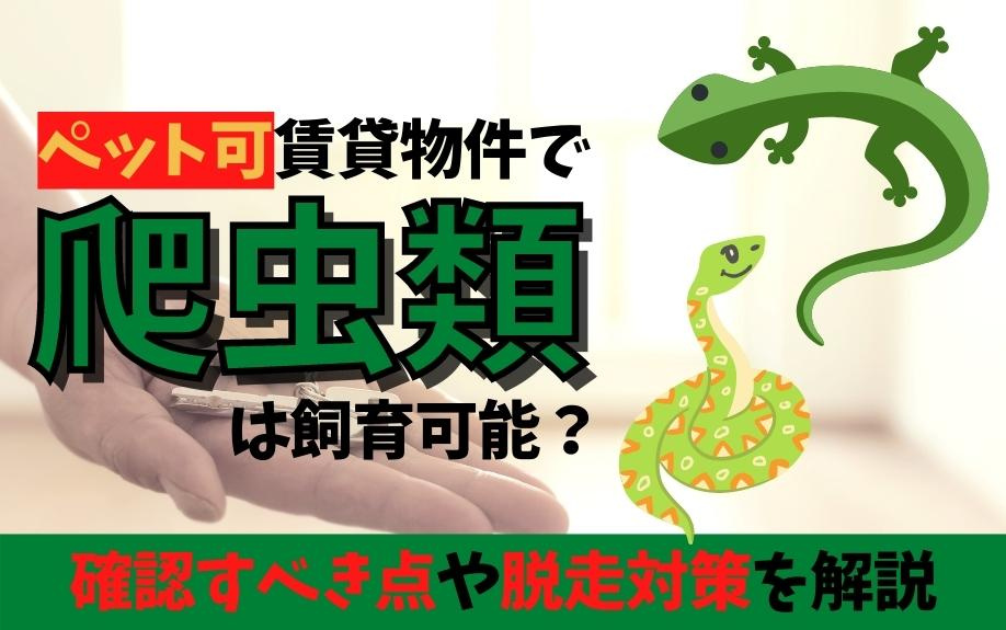 ペット可賃貸物件で爬虫類は飼育可能？確認すべき点や脱走対策を解説の画像