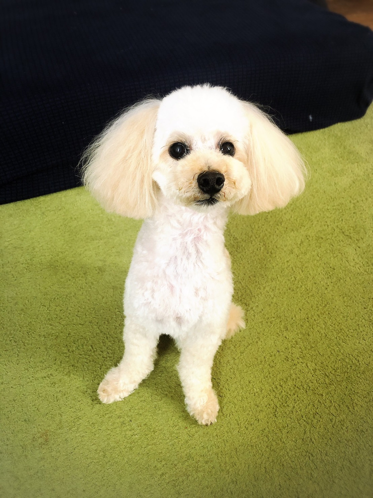 鹿嶋市おすすめのお店の画像