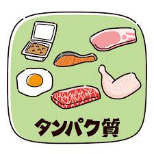 9月11日【たんぱく質の日】の画像