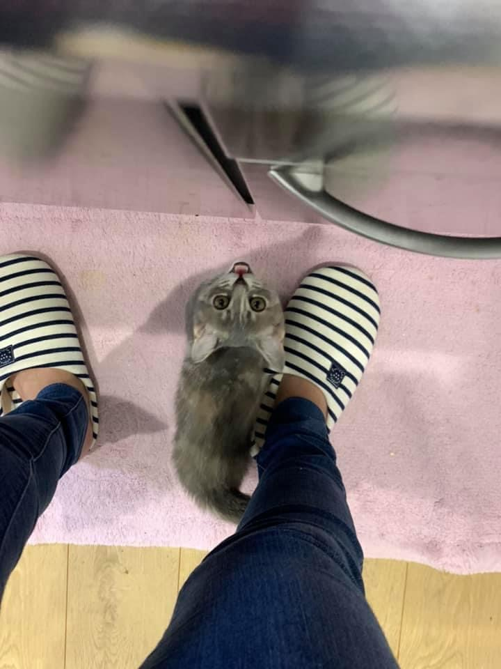 癒しの画像