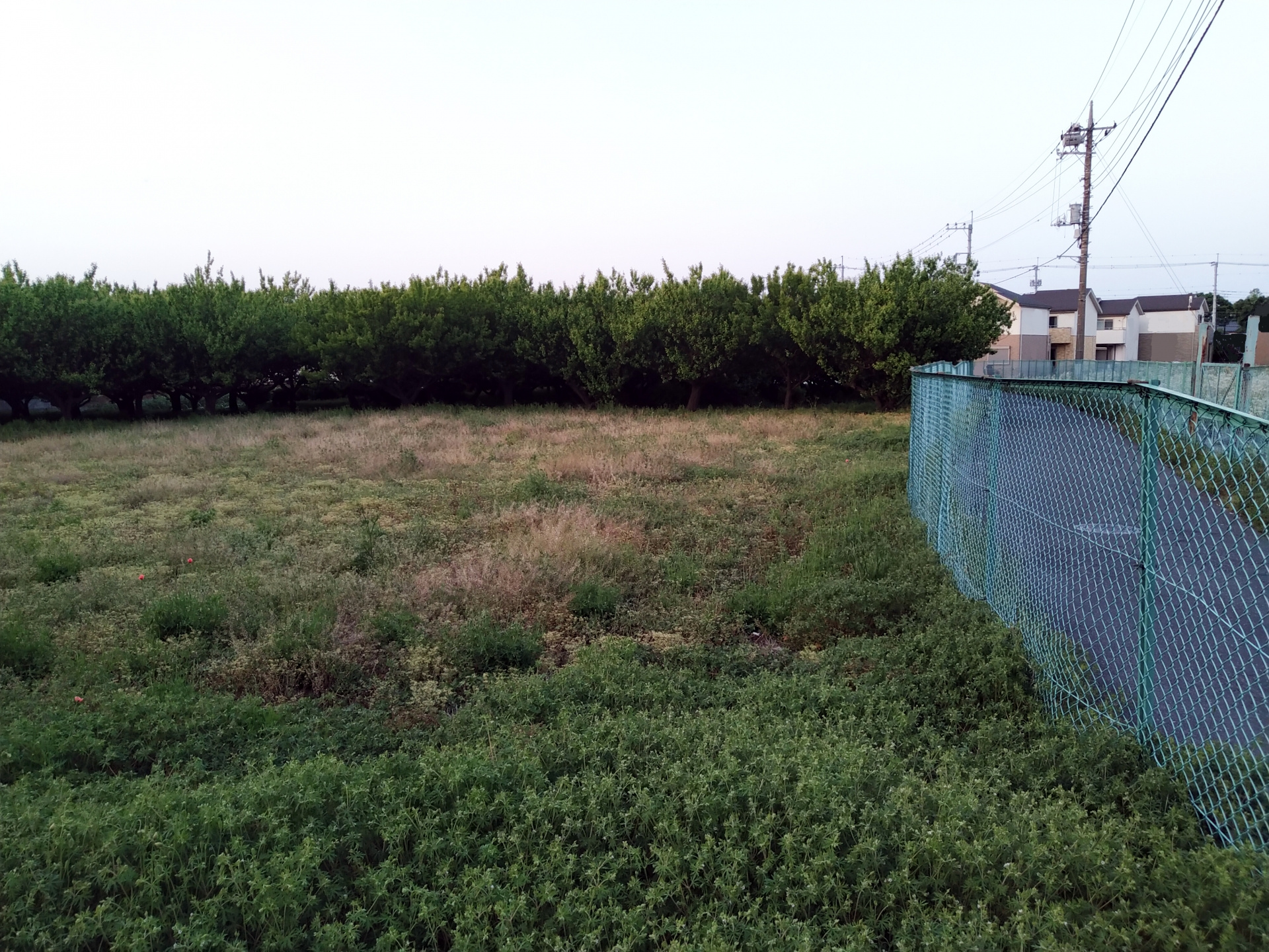  【2026年RN】入口が農地、奥が既存宅地　家は建てられますか？の画像