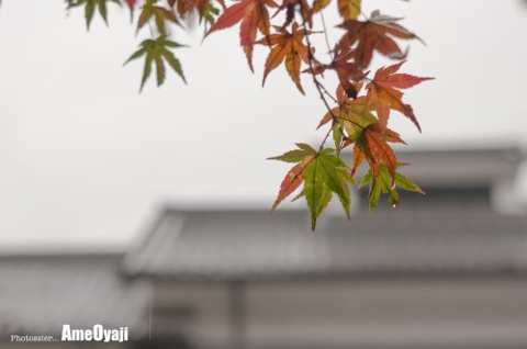 雫